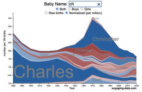 US Baby Name Popularity Visualizer - Engaging Data