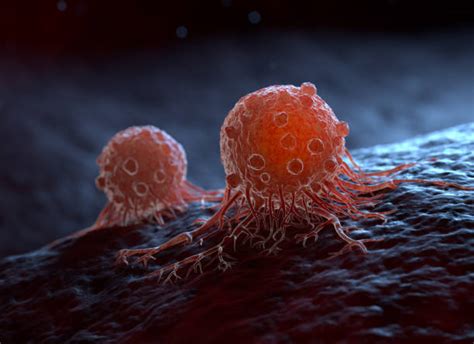 Aggressive cancer cells grow by protecting their identity – TheSynapse