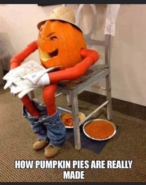 HOW PUMPKIN PIES ARE REALLY MADE - )
