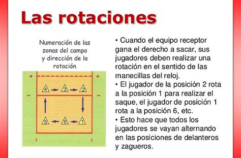 Total 50+ imagen cuales son las posiciones de los jugadores en el ...