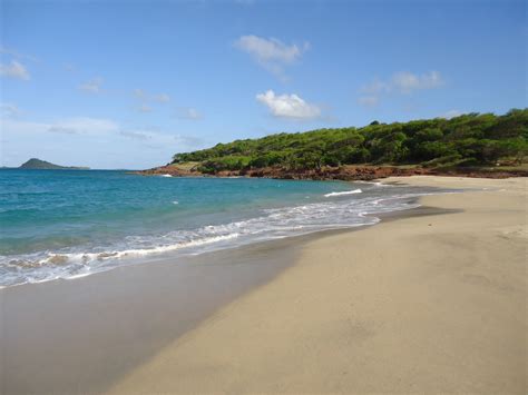 Levera Beach, Grenada | Beach, Beach pictures, Grenada