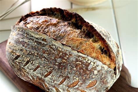 Healthy Whole Wheat Sourdough Recipe | You Knead Sourdough