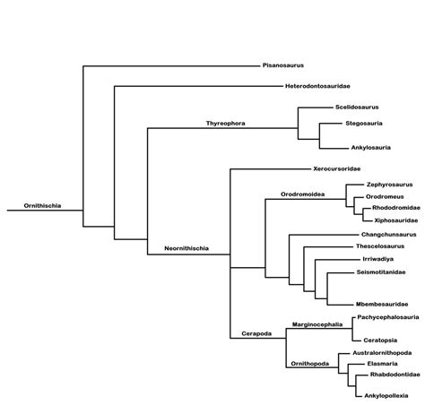 Ornithischia Phylogeny by DrPolaris on DeviantArt