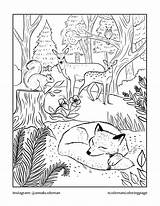 Forest Coloring Pages sketch template
