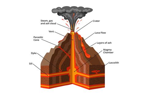 Vector infographic illustration. Cross section of volcano By ONYX | TheHungryJPEG