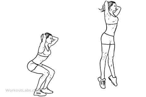 Jump Squat | Illustrated Exercise guide - WorkoutLabs