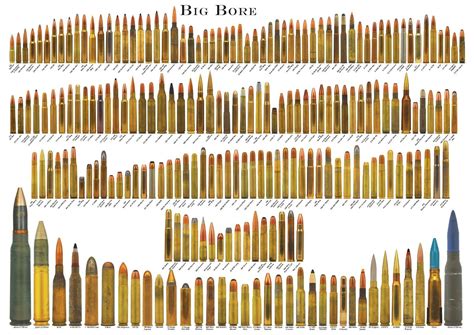 Big Bore Bullet Chart Picture Poster | eBay