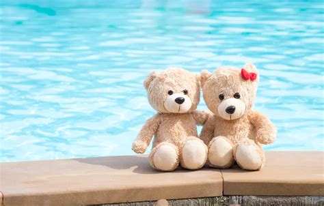 Wallpaper sea, beach, love, toy, bear, bear, pair, love, two, beach ...