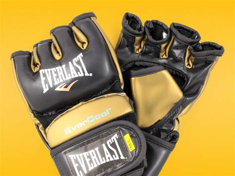 Everlast Reviews - Fight Quality