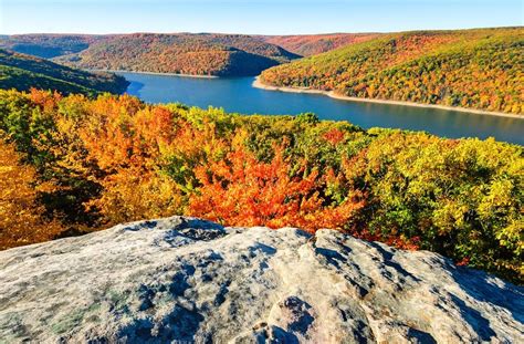 Allegheny National Forest