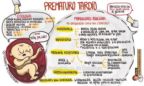 Recién Nacido Prematuro Tardío: Características y comorbilidades - Chuletas Médicas