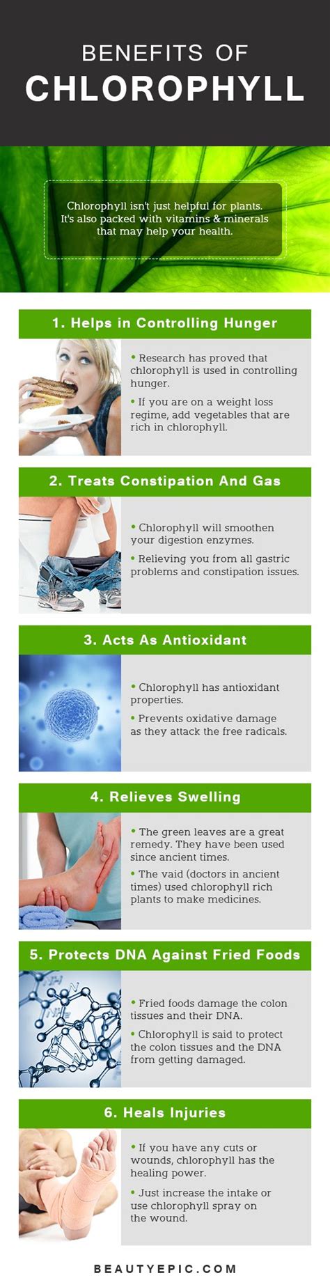 10 Unknown Health Benefits of Chlorophyll That You Should Definitely ...