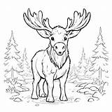 Descarga Página Para colorear De alce En El Bosque Educación Y  sketch template