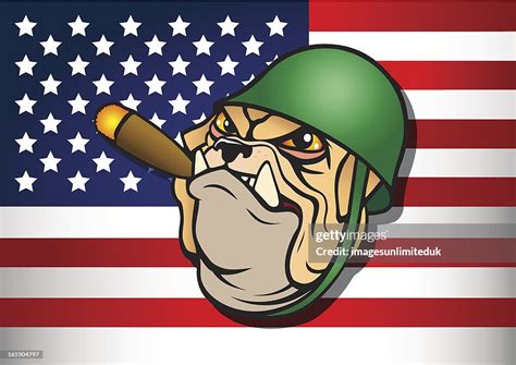 Us Army Bulldog Mascot High-Res Vector Graphic - Getty Images