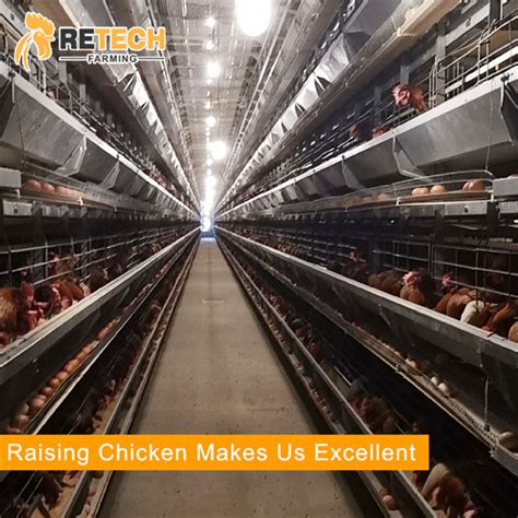 Automatic poultry layer farming equipment for egg chicken - China poultry layer farming ...