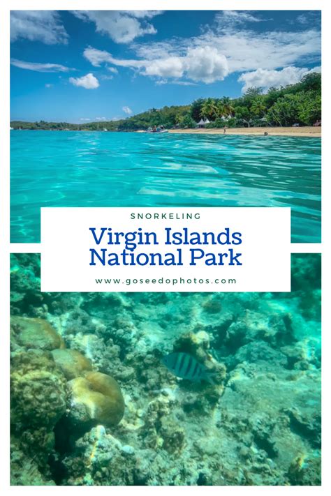 Snorkeling Virgin Islands National Park - Go See Do Explore