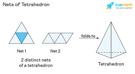 Which Types of Polygons Are the Faces of a Tetrahedron - TroykruwArroyo