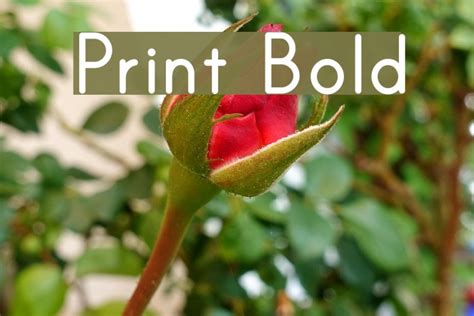 Print Bold Font - FFonts.net