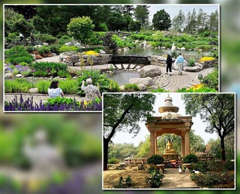 Famous Delhi Parks And Gardens | HerZindagi