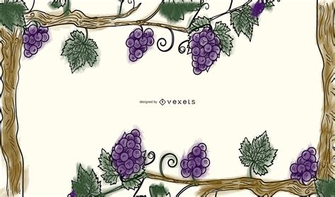 Grape Vine Border Vector at Vectorified.com | Collection of Grape Vine ...