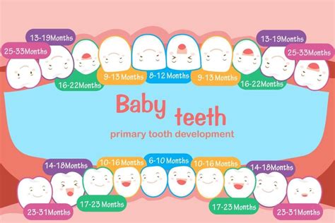 5 Things You Should Know About Baby Teeth - Kids World Pediatric Dentistry