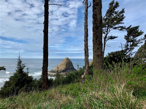 New Roving Nature at Heceta Head - Heceta Lighthouse B&B