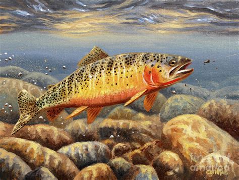 Cynthie Fisher Painting - Cutthroat Trout by Cynthie Fisher | Trout art ...