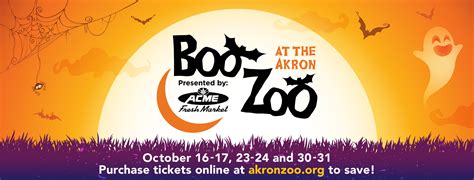 Things to Do This Fall in Downtown Akron | Downtown Akron Partnership | Akron, OH