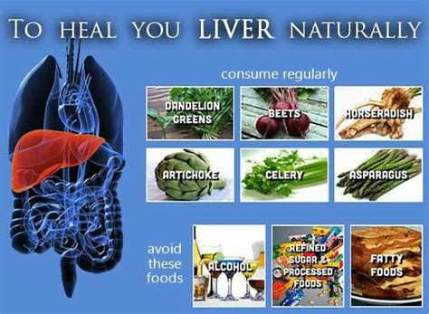 Heal your liver | Heal liver, Liver health, Processed food