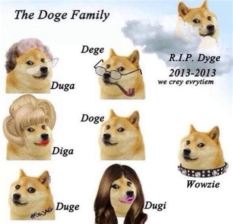 doge family | Doge | Doge, Doge meme, Meme characters