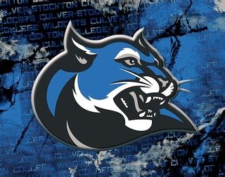 Culver-Stockton Wildcats - The D Zone Football