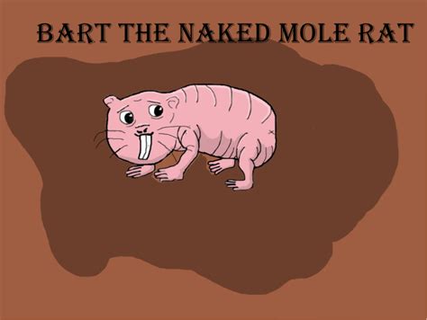 Bart the Naked Mole Rat - Zoo Atlanta