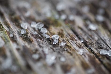 MK Photography: Sleet...up close!