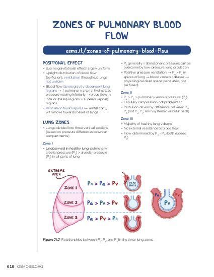 Ventilation-perfusion ratios and V/Q mismatch | Osmosis