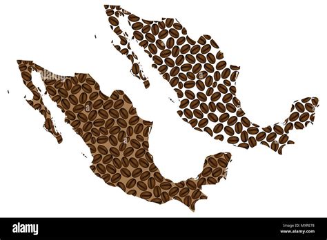 Mexico - map of coffee bean, United Mexican States map made of coffee beans Stock Vector Image ...