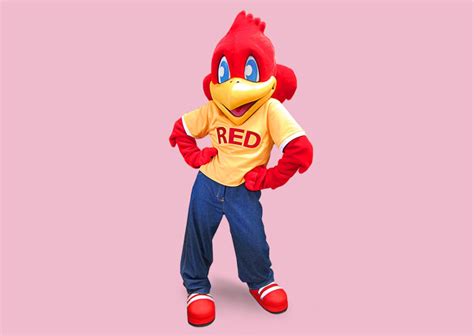 Red Robin Mascot - Character Translations