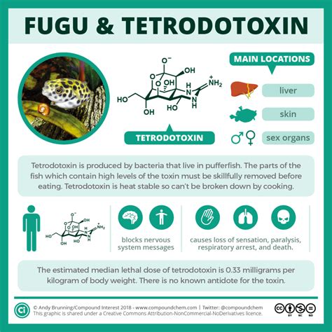 Fugu and tetrodotoxin: how the pufferfish can kill | Compound Interest