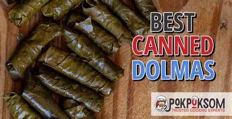 5 Best Canned Dolmas (Reviews Updated 2022)