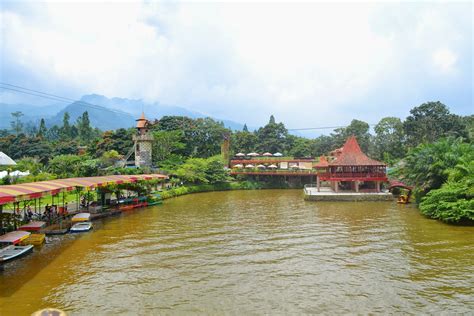 95+ Terbaru Wisata Taman Bunga Matahari Bogor, Taman Bunga