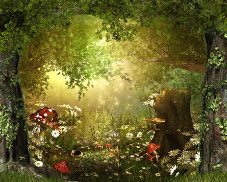 Enchanting Lush Fairy Tale Woodland Stock Photo - Download Image Now - iStock