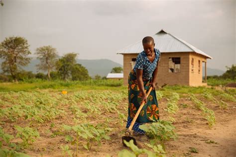 Challenges that keep South African farming community up at night - CNBC Africa