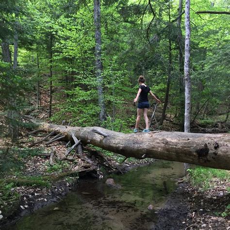 a peek inside the fishbowl » Blog Archive Gatineau Park hiking: two ...