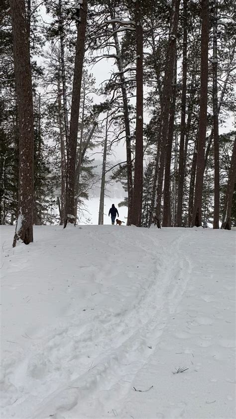 Itasca State Park : hiking