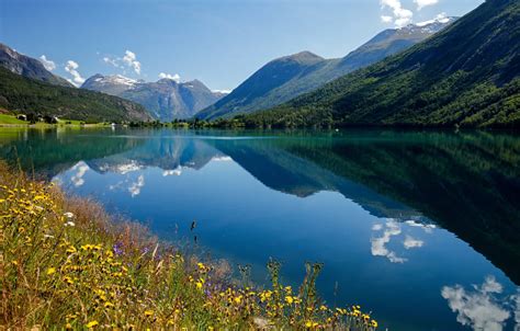 Wallpaper flowers, mountains, reflection, Norway, Bay, Norway, the fjord, Stryn, Nordfjord ...