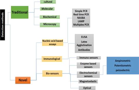 Tools for Rapid Detection and Control of Foodborne Microbial Pathogens ...