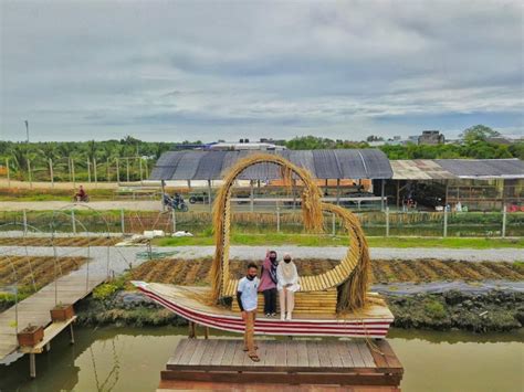 Sunflower Garden Bagan Datuk, Perak | Panorama Indah Untuk Aktiviti ...