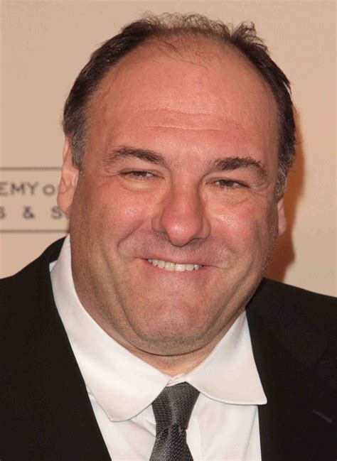 SOPRANO STAR JAMES GANDOLFINI DIES AT 51