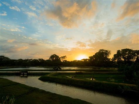 Water Garden Sigiriya | Sigiriya Hotels | Water Garden