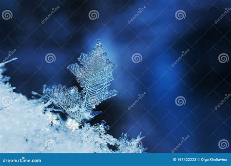 Snowflakes Close-up. Macro Photo Stock Image - Image of crystal, december: 167422223