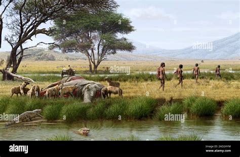 Homo ergaster hunters. Computer illustration of Homo ergaster ancient ...